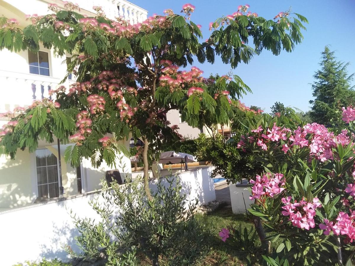 House Apartments Ariamare Poreč Kültér fotó